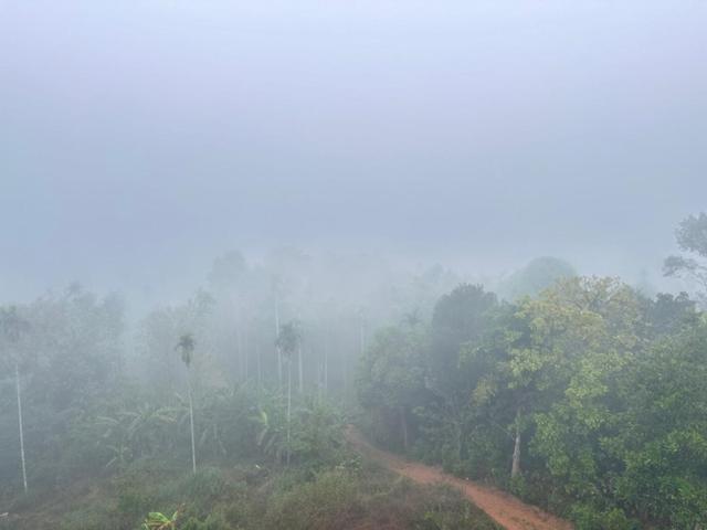 Wayanad Vista Service Apartment Extérieur photo